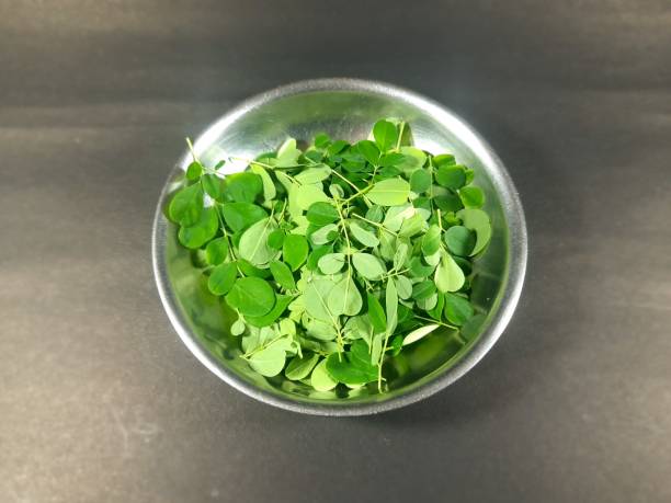 Comment utiliser les feuilles de Moringa pour soigner le diabète ...